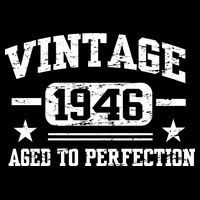 1946 Vintage Aged To Perfection Birthday Gift Performance Shirt