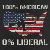100 American 0 Liberal Ar15 Pro Gun Usa Flag Republican 7 Panel Mesh Trucker Snapback Hat