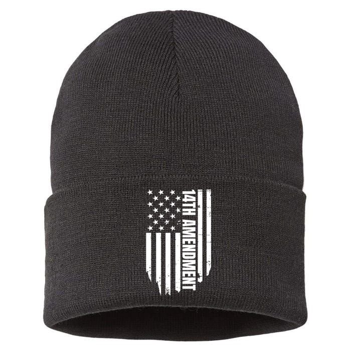 14th Amendment Flag Political America Usa Rights Sustainable Knit Beanie