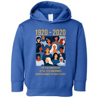 19th Adt 'S Right To Vote 100 Years Suffragette Meaningful Gift Toddler Hoodie