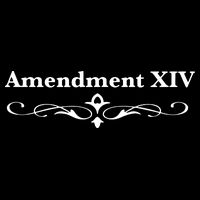 14TH Amendment USA Constitution Backpack