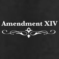 14TH Amendment USA Constitution Adult Drive Performance Visor