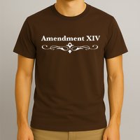 14TH Amendment USA Constitution T-Shirt