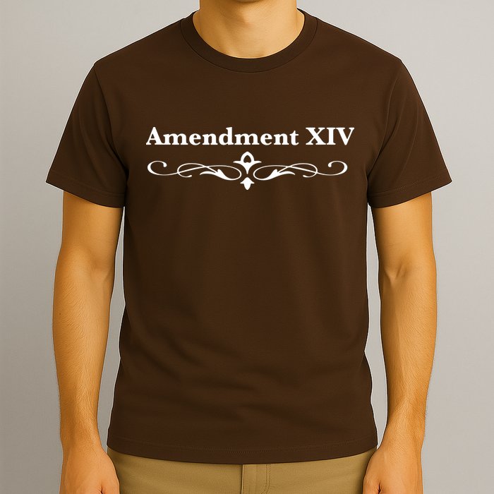 14TH Amendment USA Constitution T-Shirt