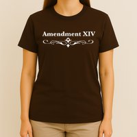 14TH Amendment USA Constitution T-Shirt