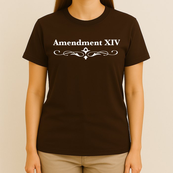 14TH Amendment USA Constitution T-Shirt