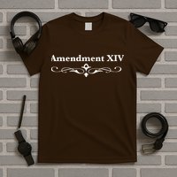 14TH Amendment USA Constitution T-Shirt