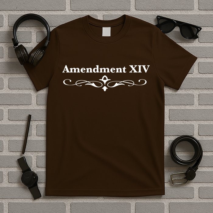 14TH Amendment USA Constitution T-Shirt