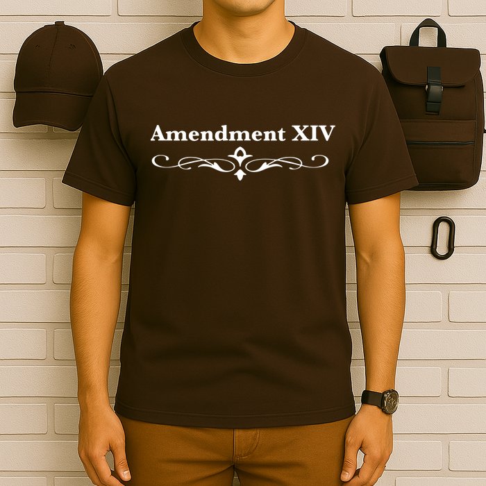 14TH Amendment USA Constitution T-Shirt