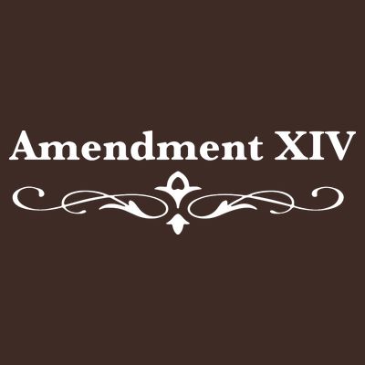 14TH Amendment USA Constitution T-Shirt