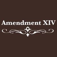 14TH Amendment USA Constitution T-Shirt