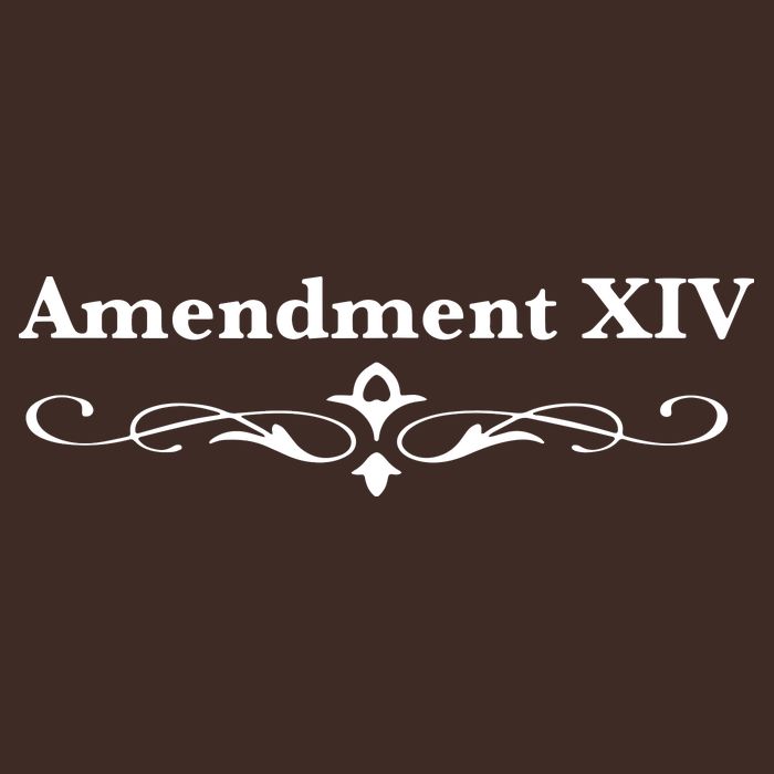 14TH Amendment USA Constitution T-Shirt