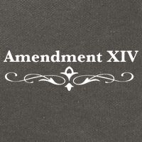 14TH Amendment USA Constitution Cotton Canvas Backpack