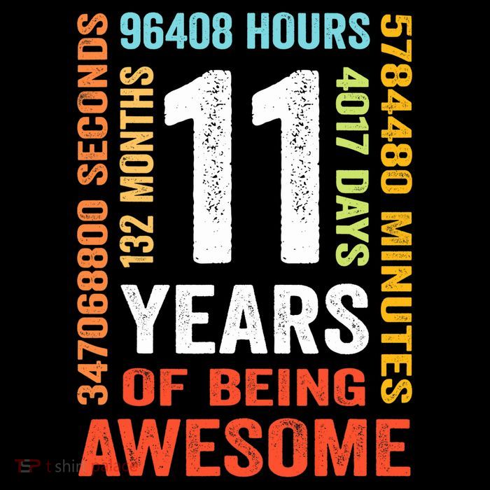 11th Birthday 11 Years Old Vintage Retro 132 Months Kids T-Shirt