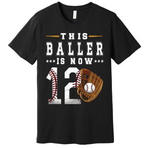 12th Birthday Baseball Boy Twelve Year Old Baseball Player Premium T-Shirt