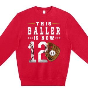 12th Birthday Baseball Boy Twelve Year Old Baseball Player Premium Crewneck Sweatshirt