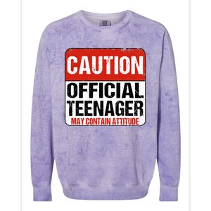 13 Birthday Caution Nager Boy 13yr 13th Birthday Colorblast Crewneck Sweatshirt