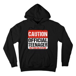 13 Birthday Caution Nager Boy 13yr 13th Birthday Hoodie