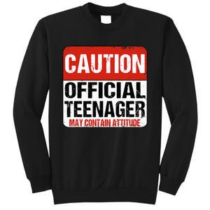 13 Birthday Caution Nager Boy 13yr 13th Birthday Sweatshirt