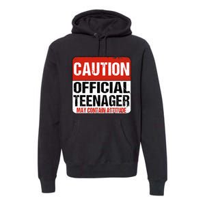 13 Birthday Caution Nager Boy 13yr 13th Birthday Premium Hoodie