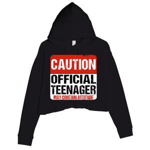 13 Birthday Caution Nager Boy 13yr 13th Birthday Crop Fleece Hoodie