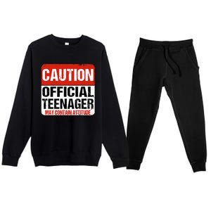 13 Birthday Caution Nager Boy 13yr 13th Birthday Premium Crewneck Sweatsuit Set