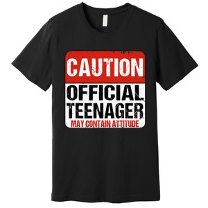 13 Birthday Caution Nager Boy 13yr 13th Birthday Premium T-Shirt