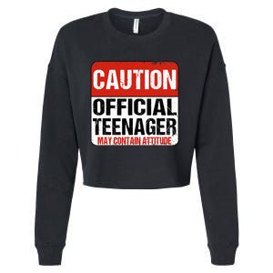 13 Birthday Caution Nager Boy 13yr 13th Birthday Cropped Pullover Crew