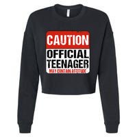 13 Birthday Caution Nager Boy 13yr 13th Birthday Cropped Pullover Crew