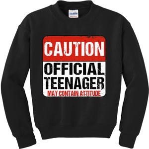 13 Birthday Caution Nager Boy 13yr 13th Birthday Kids Sweatshirt