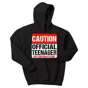 13 Birthday Caution Nager Boy 13yr 13th Birthday Kids Hoodie