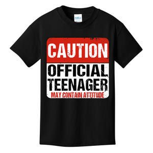 13 Birthday Caution Nager Boy 13yr 13th Birthday Kids T-Shirt