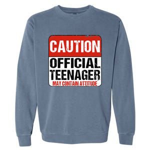 13 Birthday Caution Nager Boy 13yr 13th Birthday Garment-Dyed Sweatshirt