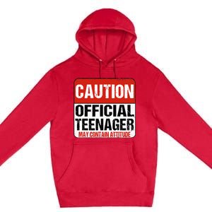 13 Birthday Caution Nager Boy 13yr 13th Birthday Premium Pullover Hoodie