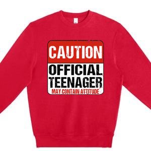 13 Birthday Caution Nager Boy 13yr 13th Birthday Premium Crewneck Sweatshirt