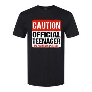 13 Birthday Caution Nager Boy 13yr 13th Birthday Softstyle CVC T-Shirt