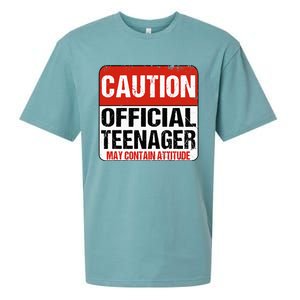 13 Birthday Caution Nager Boy 13yr 13th Birthday Sueded Cloud Jersey T-Shirt