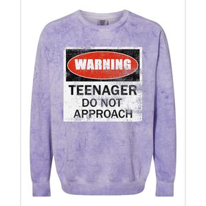 13th Birthday Fun Warning Official Teenager Do Not Approach Colorblast Crewneck Sweatshirt