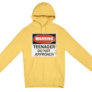 13th Birthday Fun Warning Official Teenager Do Not Approach Premium Pullover Hoodie