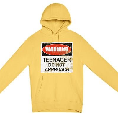 13th Birthday Fun Warning Official Teenager Do Not Approach Premium Pullover Hoodie