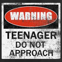 13th Birthday Fun Warning Official Teenager Do Not Approach Adult Drive Performance Visor