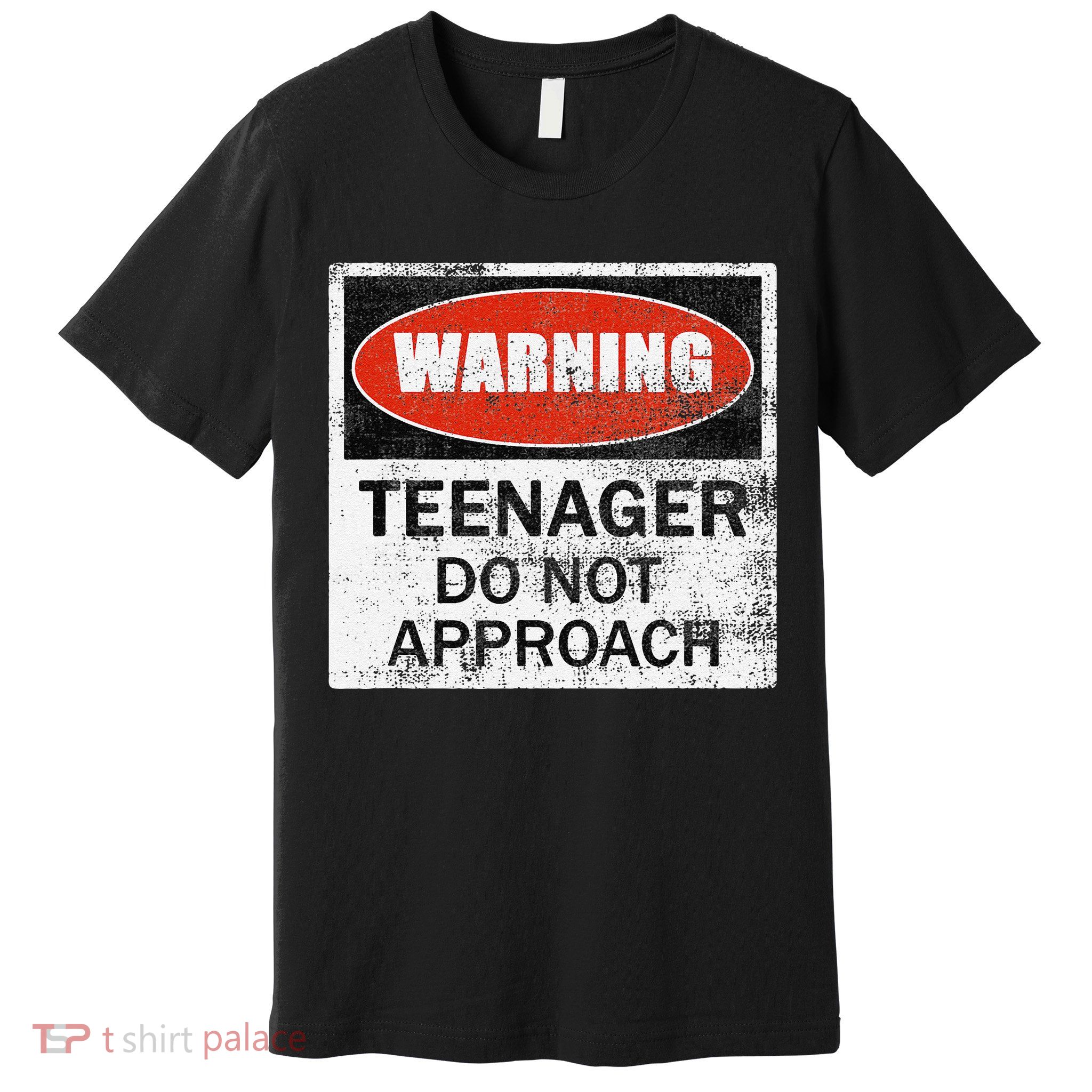 13th Birthday Fun Warning Official Teenager Do Not Approach Premium T-Shirt