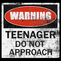 13th Birthday Fun Warning Official Teenager Do Not Approach Cropped Pullover Crew
