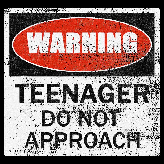 13th Birthday Fun Warning Official Teenager Do Not Approach Cropped Pullover Crew