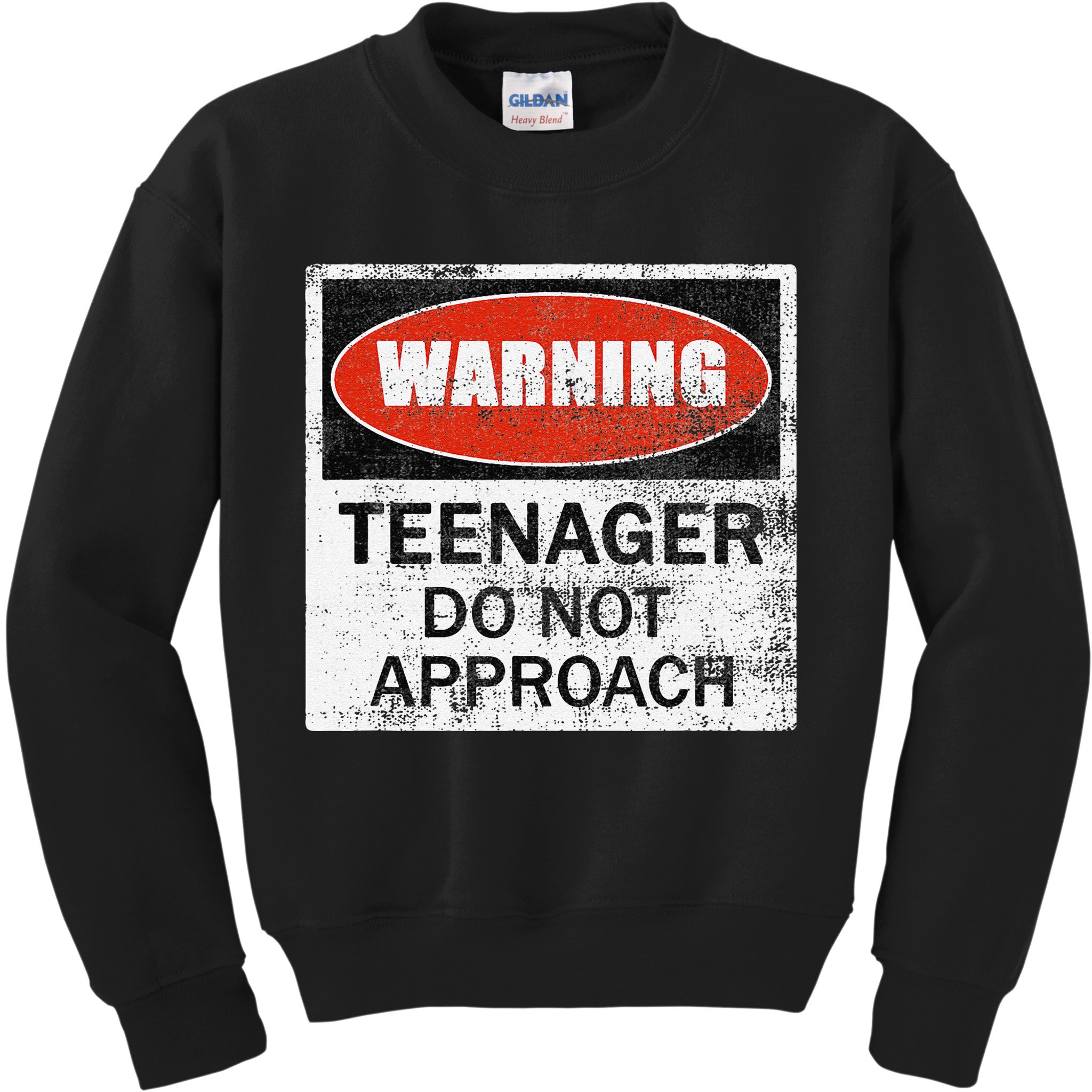 13th Birthday Fun Warning Official Teenager Do Not Approach Kids Sweatshirt
