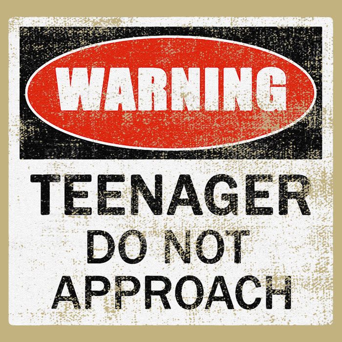 13th Birthday Fun Warning Official Teenager Do Not Approach Button