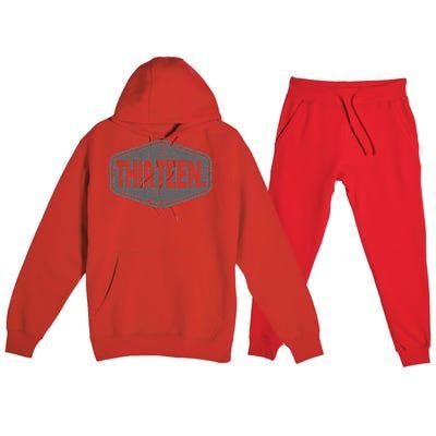 13th Birthday Of Boy Or Girl 13 Years Old Premium Hooded Sweatsuit Set