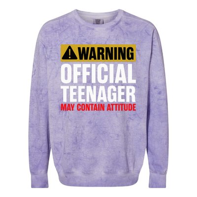 13 Birthday O.fficial Teenager 13yr Math 13th Birthday Colorblast Crewneck Sweatshirt