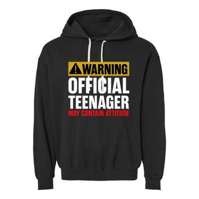 13 Birthday O.fficial Teenager 13yr Math 13th Birthday Garment-Dyed Fleece Hoodie