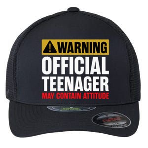 13 Birthday O.fficial Teenager 13yr Math 13th Birthday Flexfit Unipanel Trucker Cap